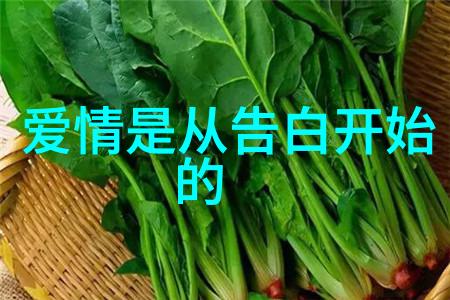 温暖的怀抱挽回情感的深情诉说