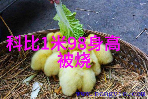 三在八卦里代表什么-解密古代智慧三元相生之谜