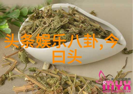 警匪对决张宝顺的狡猾计划