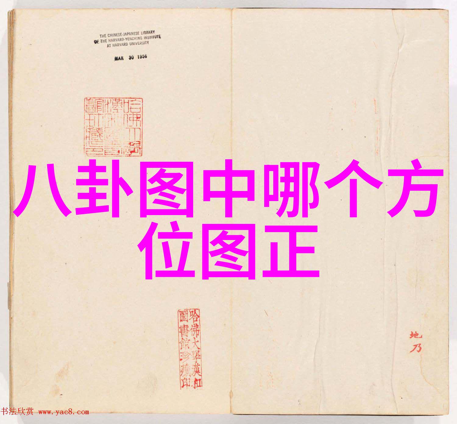 蜜桃成熟时神奇乐园历险记角色海报曝光主角们欢乐迈出亮相的步伐
