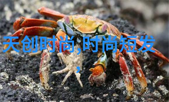 2023新款大耳狗生日茶会你是否已经准备好见证萌力爆棚的天空梦境