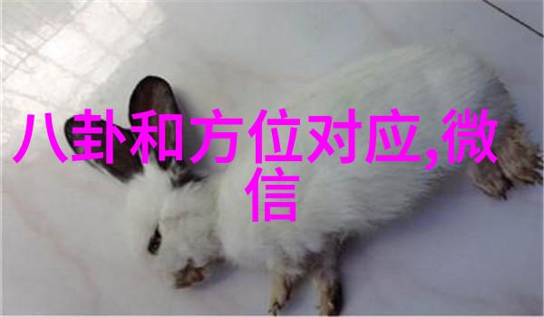 台湾歌手在上海品牌盛会上惊艳亮相新曲连唱演绎舞台魅力