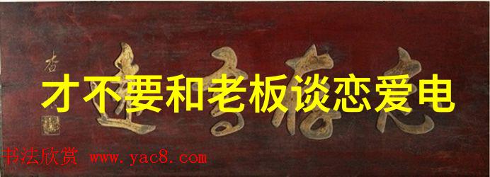 家务天才秀
