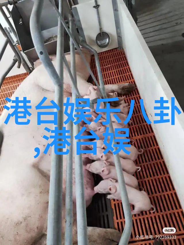 日本美女写真艺术探究