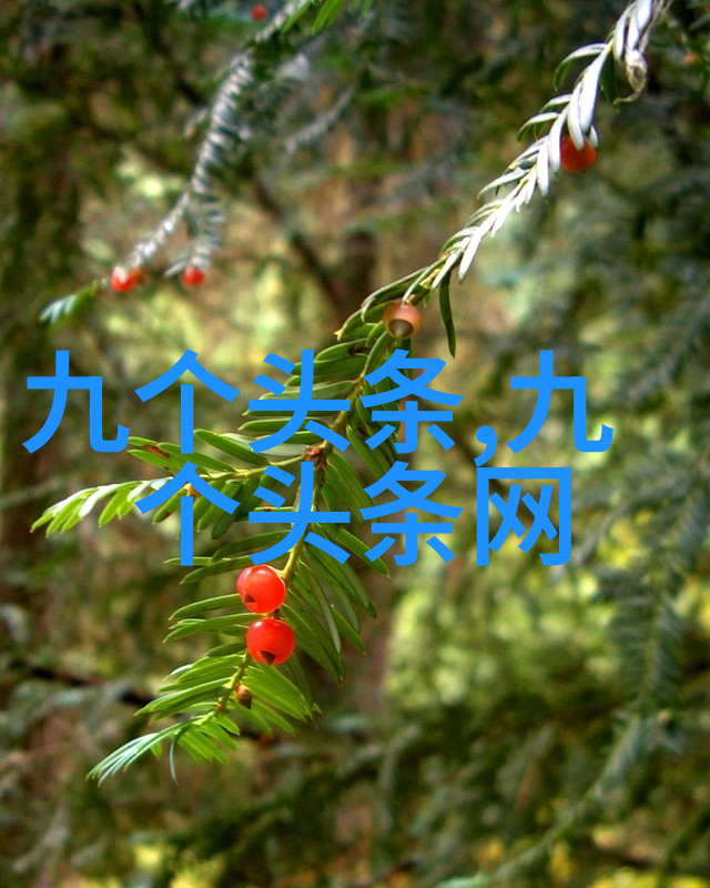 陶虹从张庭公司分得4亿引发争议她将如何应对官方的追查一事一占卜免费