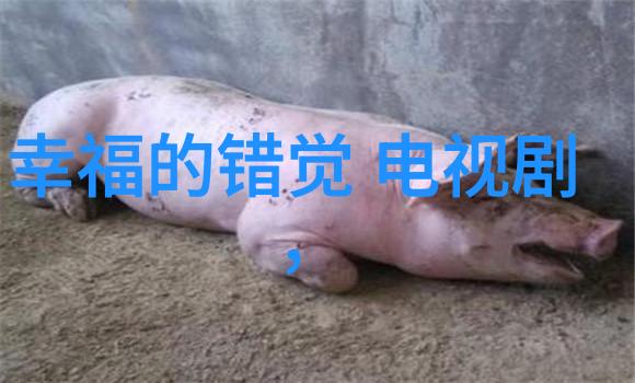 回到明朝当王爷-穿越时空的荣耀明朝王爷的重生之旅