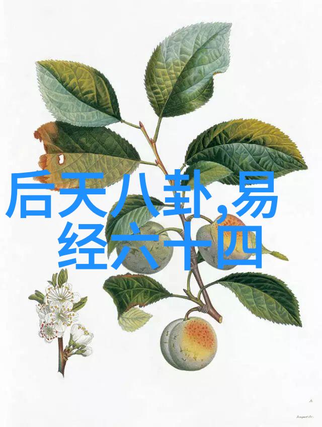 大师兄影视剧官网揭秘如何成为一名成功的网络剧演员