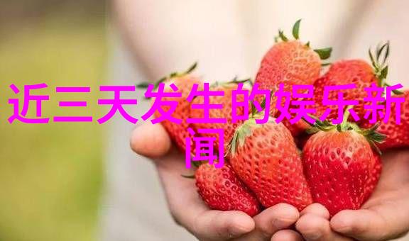 台湾美食节奏王心凌5分钟签百张专辑