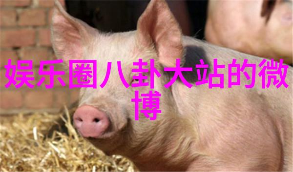 左手抚慰右手点燃背后的秘密