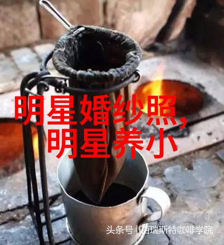 明星红毯上的潜规则谁在背后给大腕们递手套