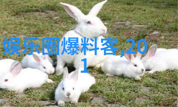 九头鸟网曝朱丹产后素颜照气色红润如玉光泽