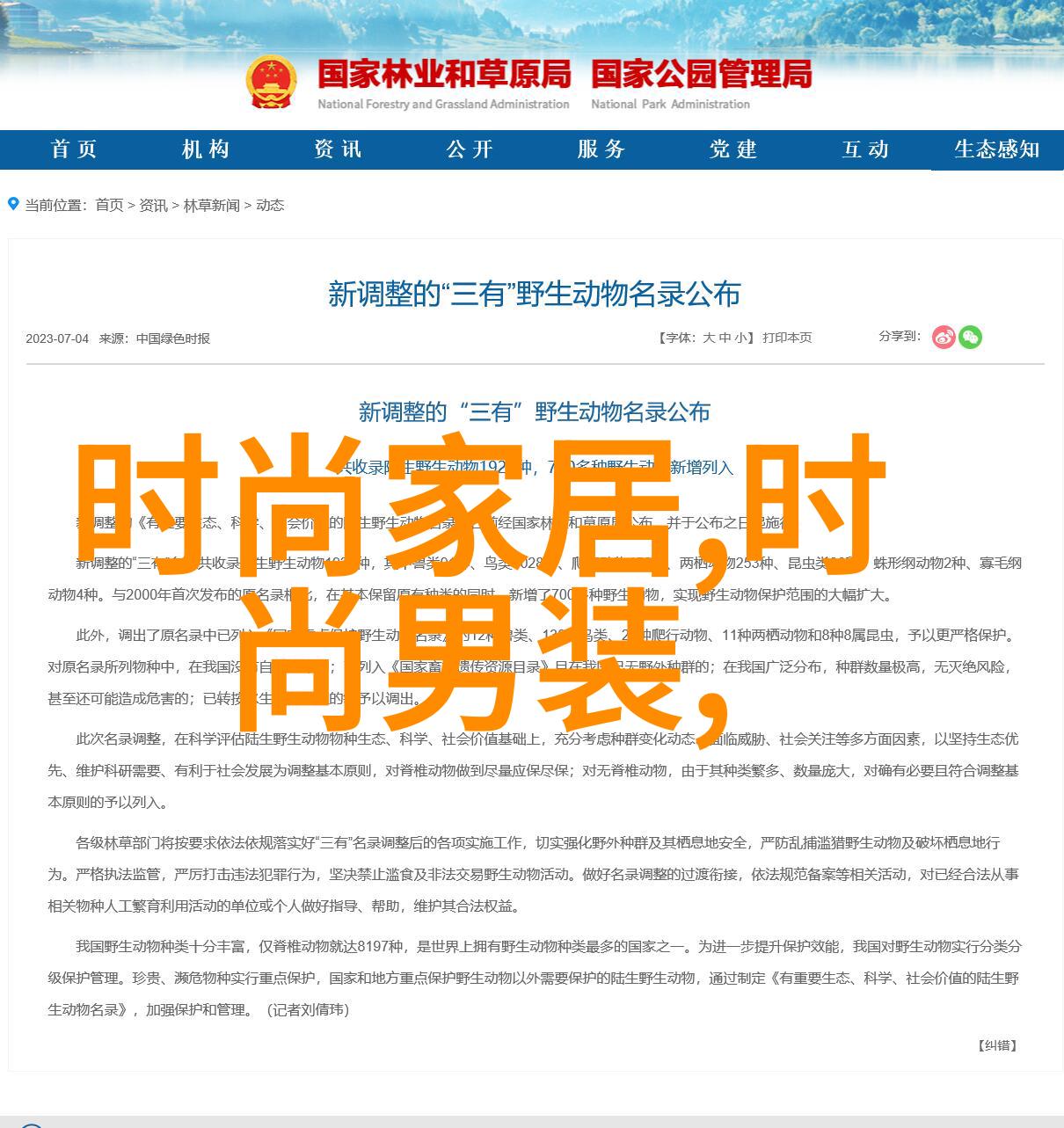 和年代文糙汉HE快穿我这就给你来一篇逆袭的年代从文采不凡到武林高手