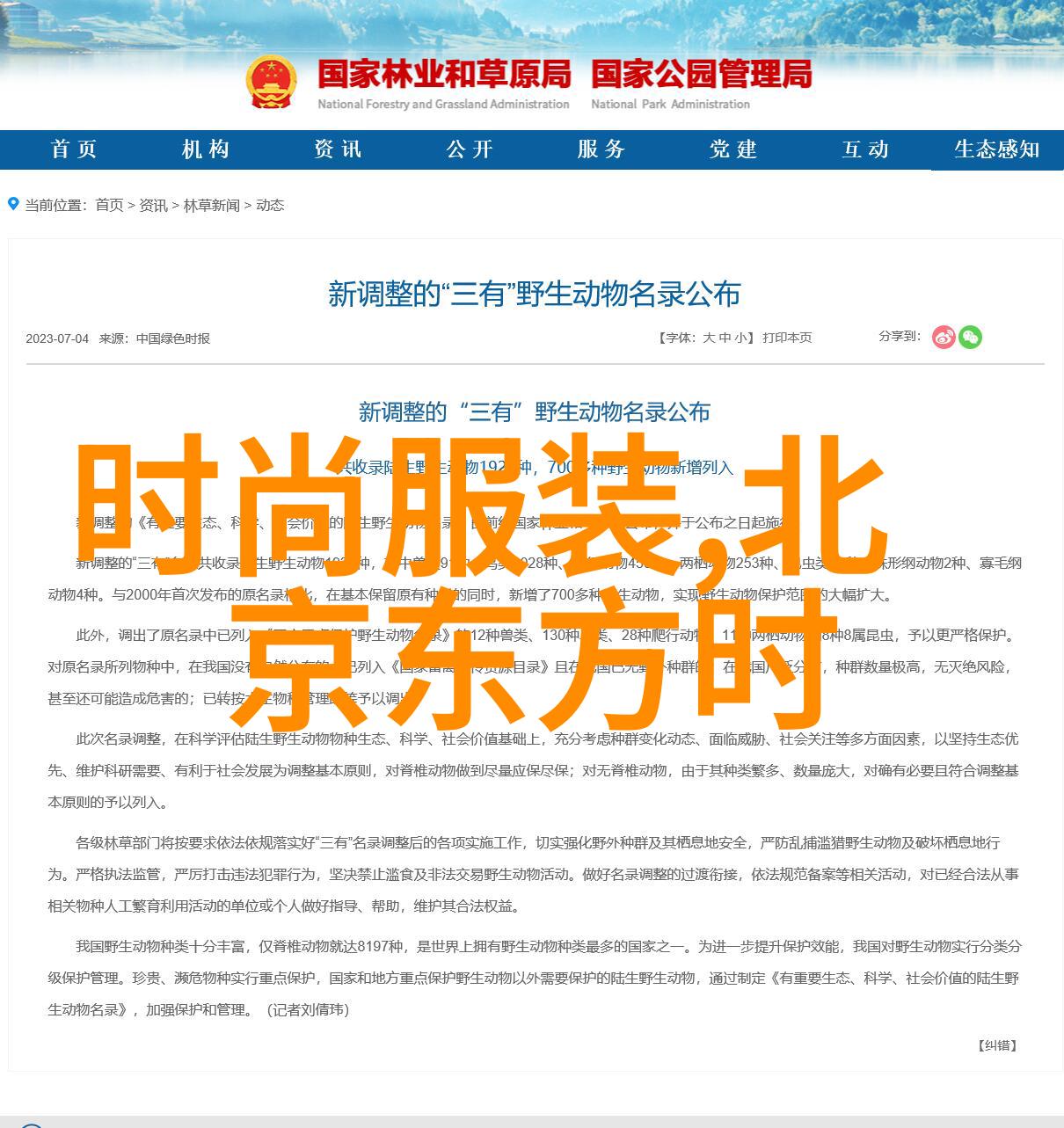 古典艺术-绘龙凤探索漂亮的八卦图背后的文化与设计