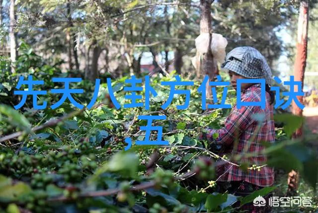 身上的小八卦究竟有什么神秘力量呢