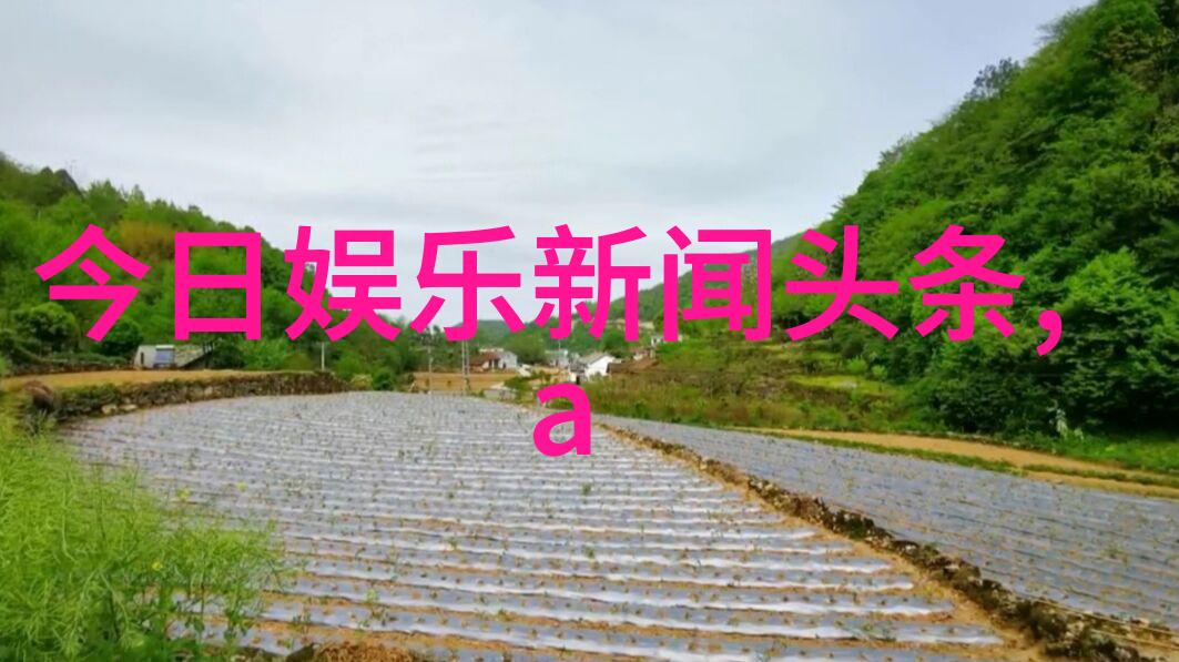 猎鹰计划首轮市场鉴定时尚电影的初恋记忆