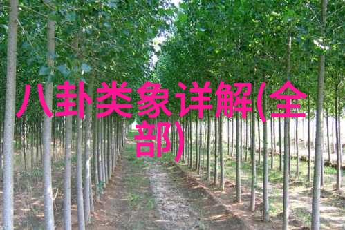 图像智能解析科技让图片说话
