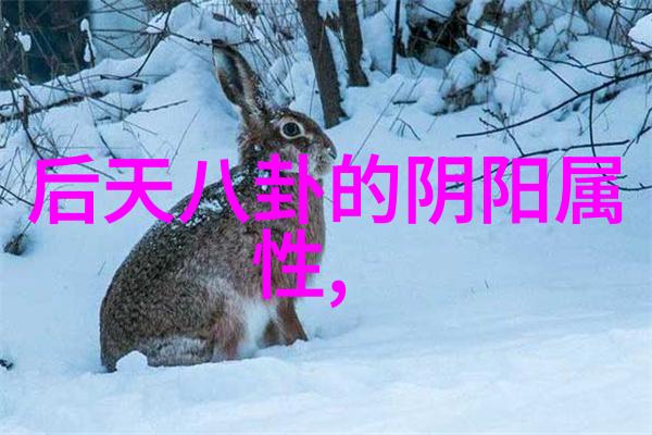 小区图片真实贝玲妃与万云峰携手打造圣诞节震撼美妆盛宴
