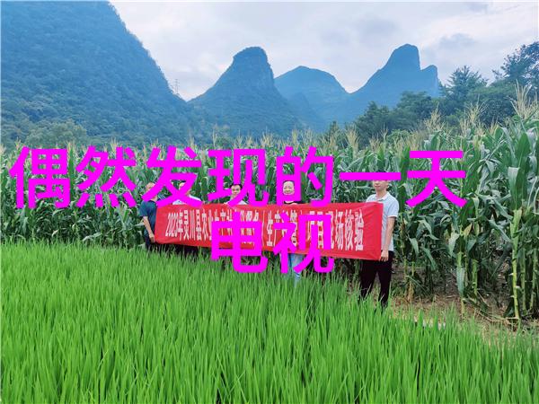今日头条极速版下载免费下载安装-极速阅读随心所欲今日头条极速版的便捷之道