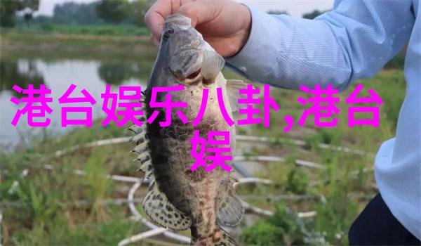 走进那晚跟随着少年时期的华语巨星黄晓明