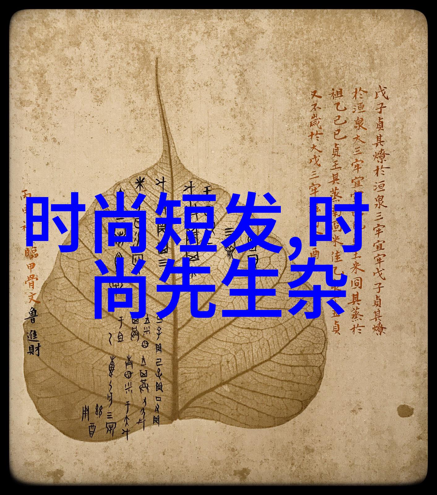 探索地球之冠揭秘世界最辽阔的陆mass