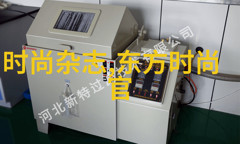 魏巍出演动作片台湾建国疑问如同迷雾中的古董盒藏着未解之谜
