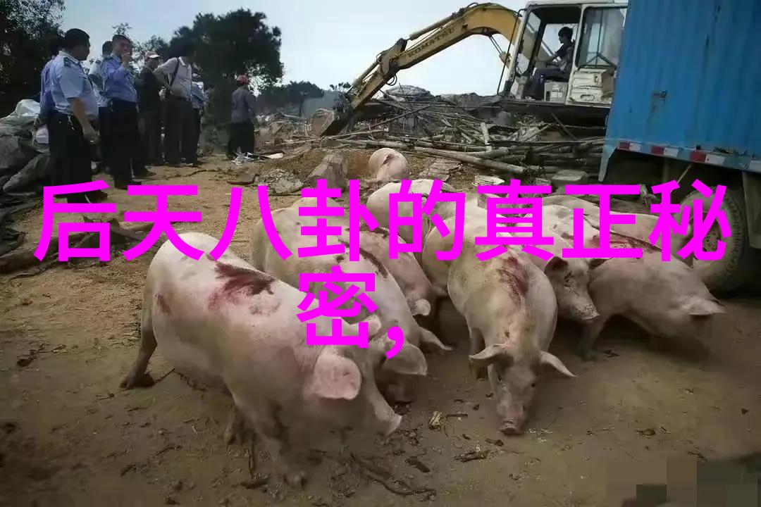 绚烂山水画卷探索大自然的艺术密码