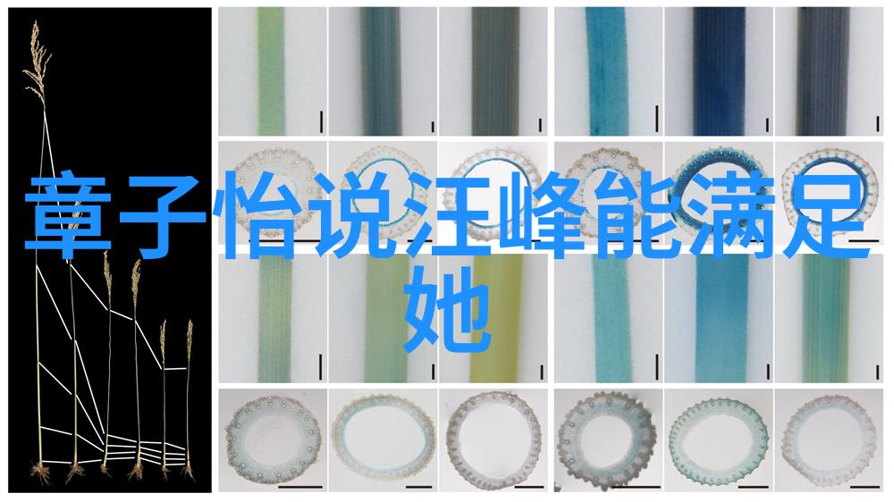 从银幕到现实生活是否存在一条明确的道德指南针