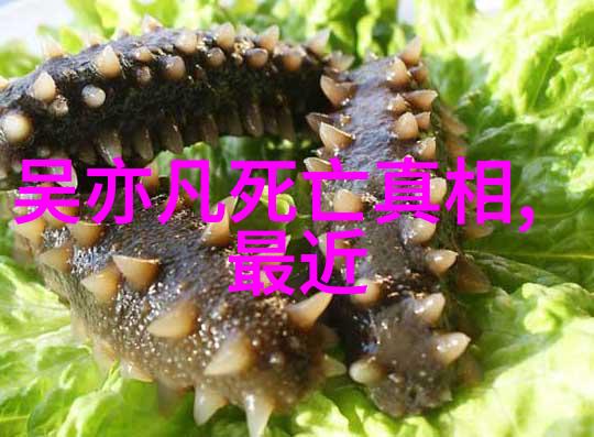 暗影中的角逐电视剧背后的权力博弈