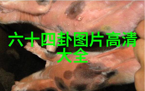 绘声绘影山东综艺频道的色彩交响