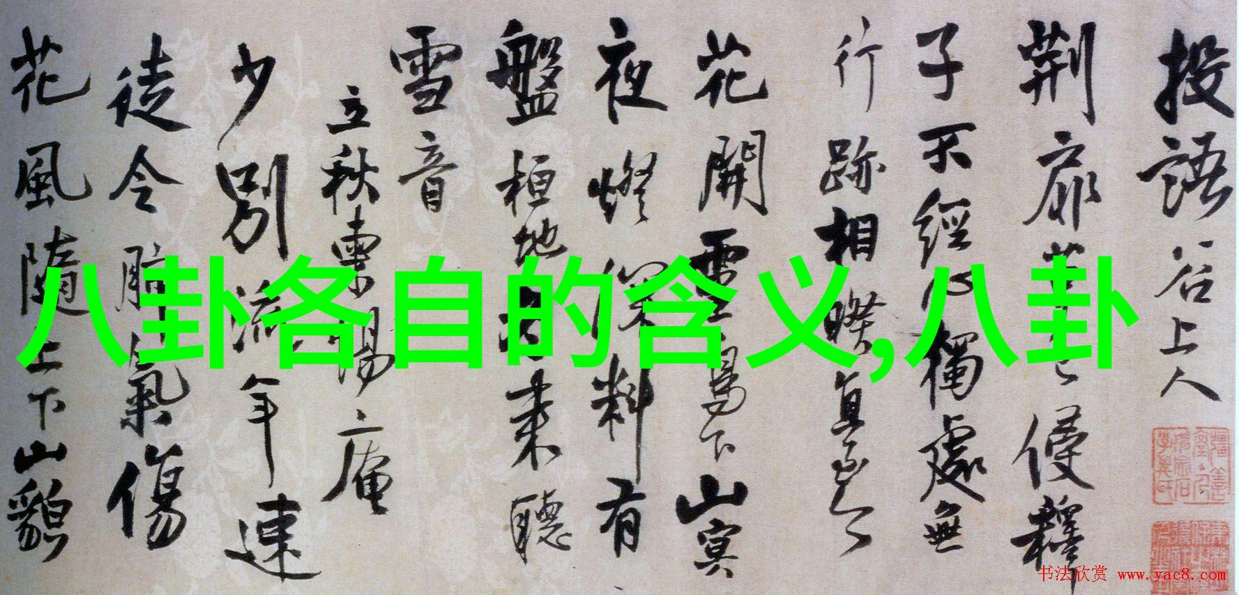 穿越时空的分水岭大陆与台湾的相遇