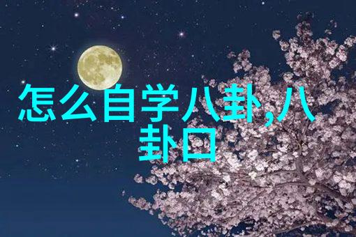 捕捉时尚之美探索女性魅力在摄影中的展现