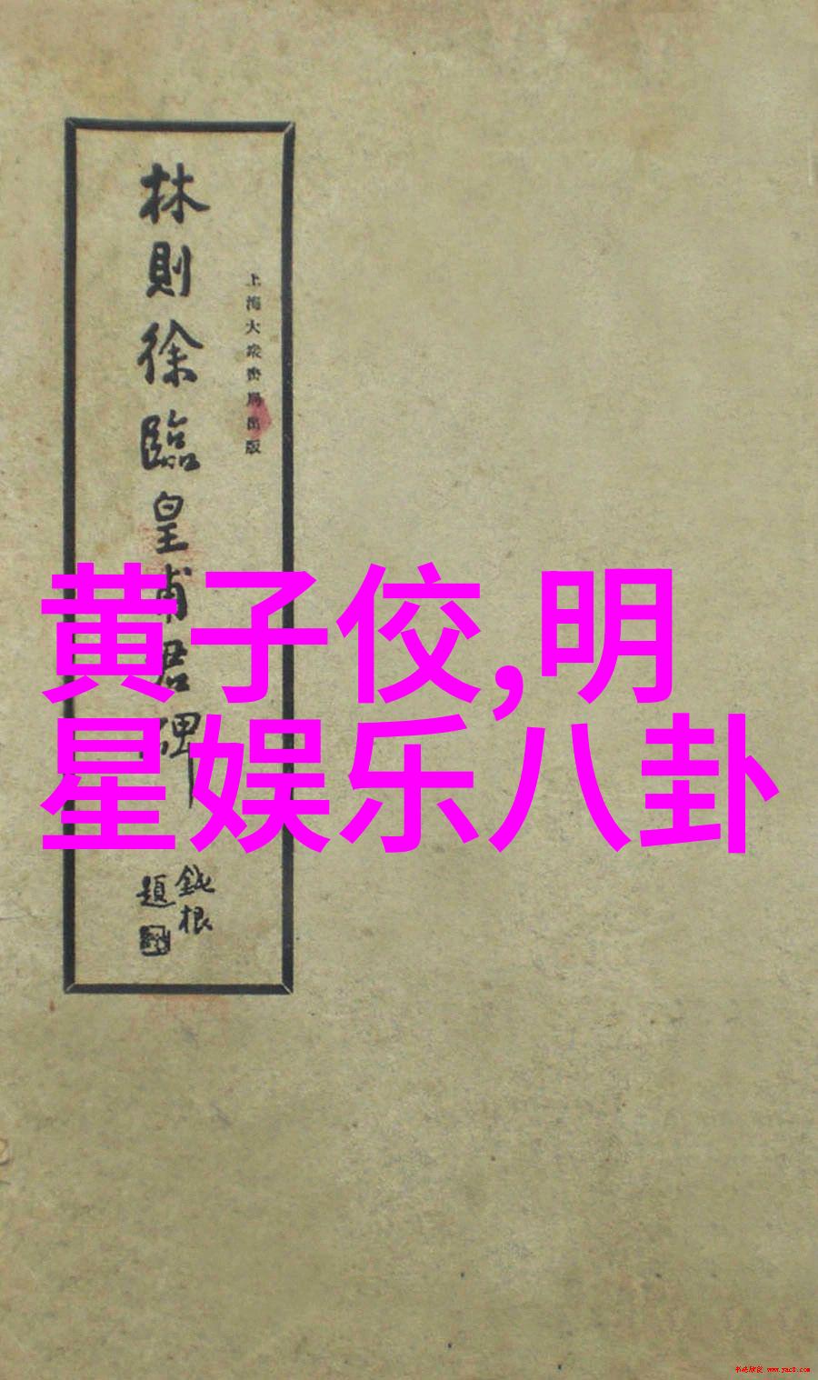 终极追星指南如何在现实中遇见你的偶像包括我见到的那次与netidol snowryl相遇