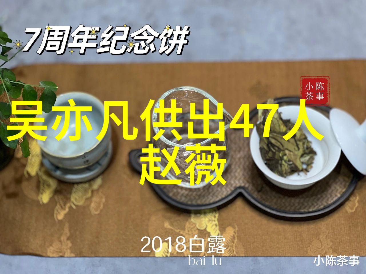 网红模样揭秘长相中的明星光芒