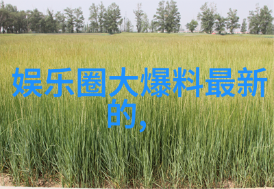 夜晚的魔法城市中的那些隐藏娱乐场所又是什么样的