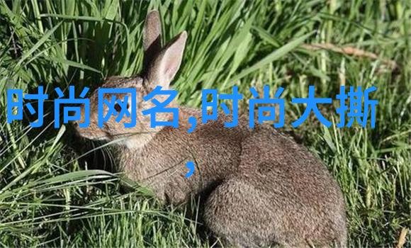 谢金晶AI合体猪哥亮感受老爸重现江湖今天台湾和大陆的物品交易如何