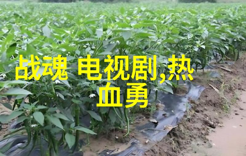 镜中花笑语春刘飞儿写真的诗意