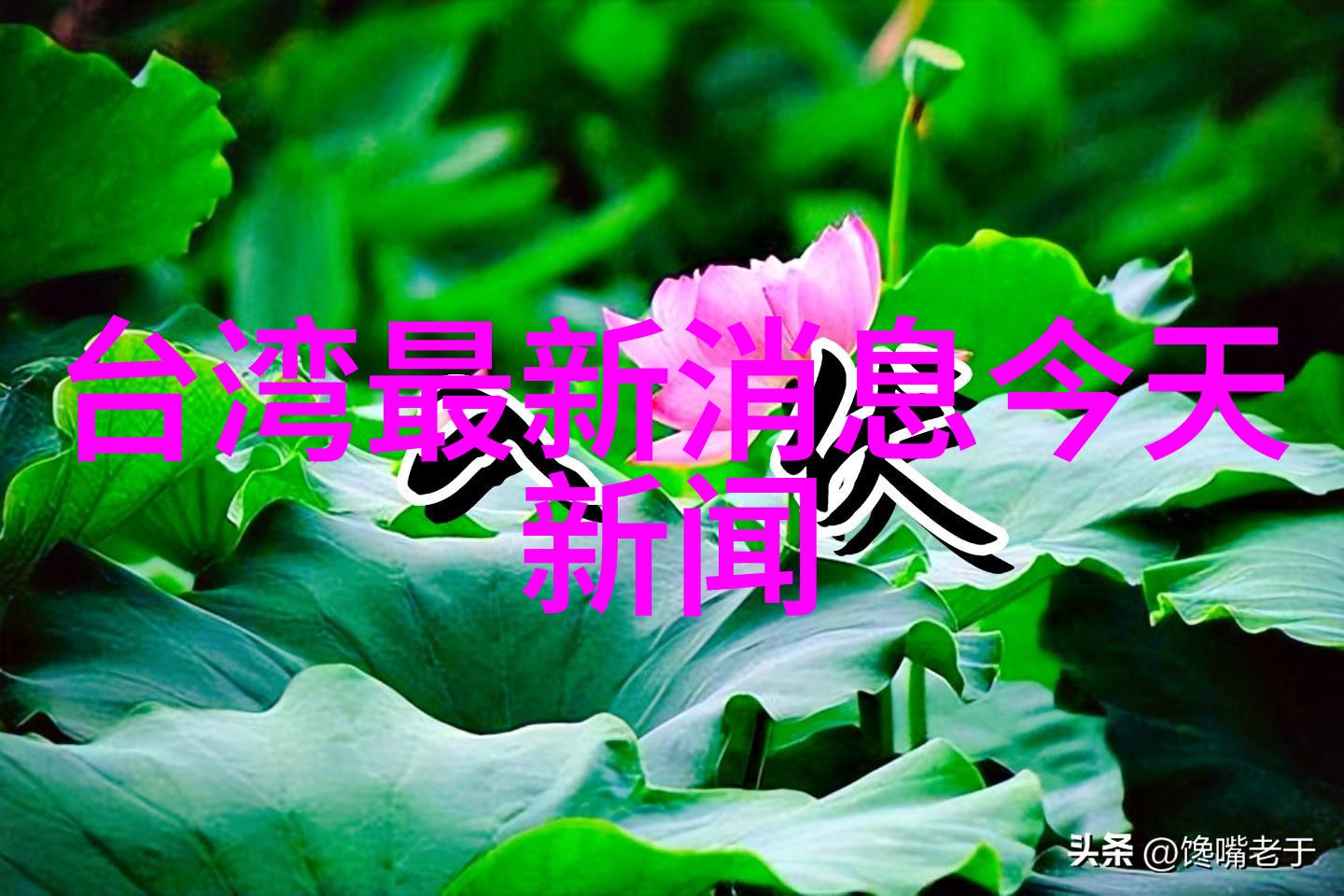 音乐创作与演唱人的艺术挑战是什么