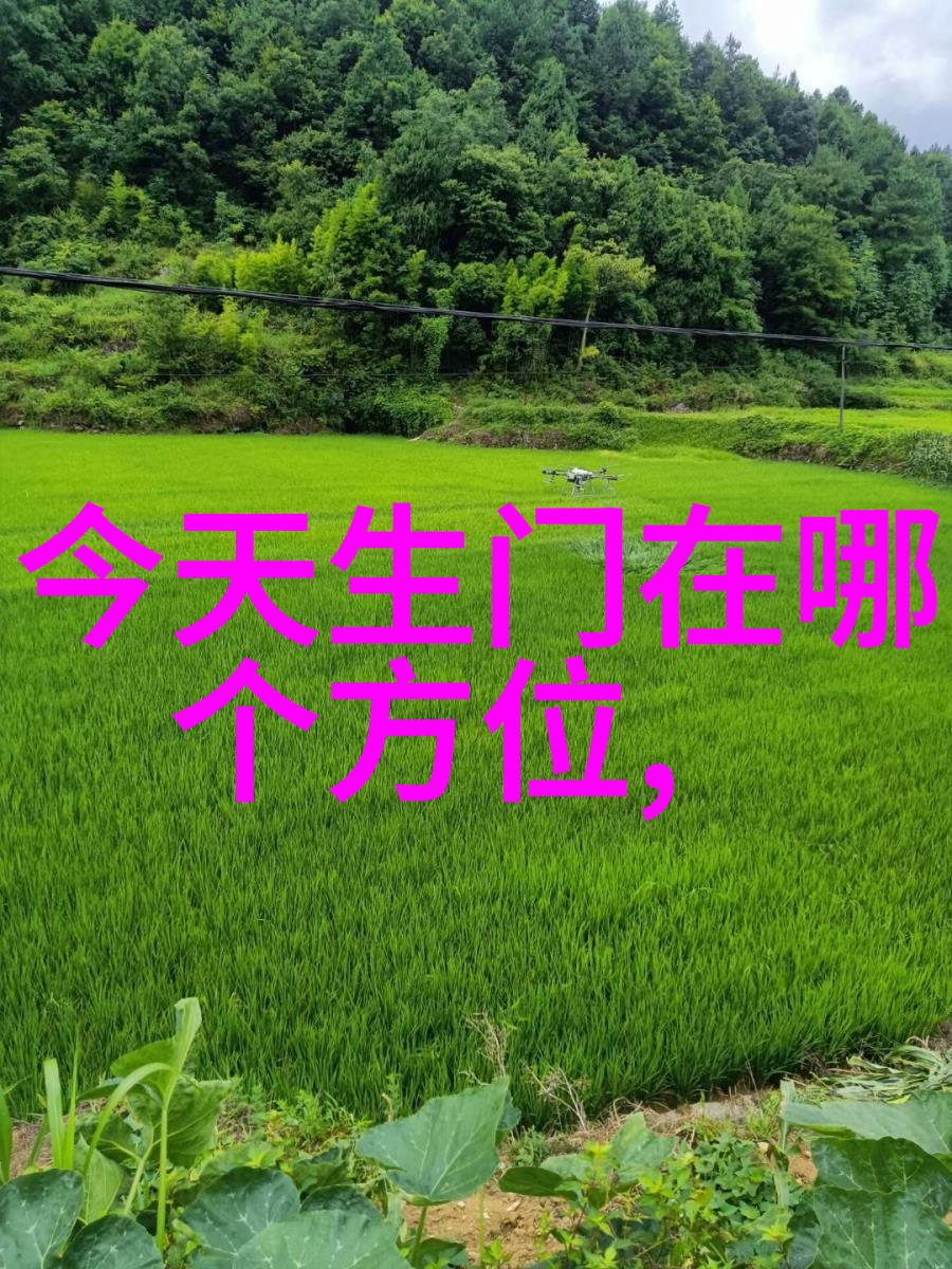 青春美少女吸金火力全开 携手国民天王齐秦加入群星演唱会