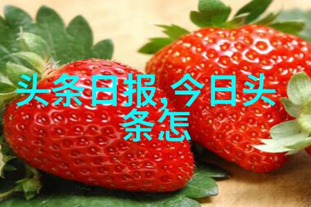 文字舞动解密写真是啥背后的创作秘密