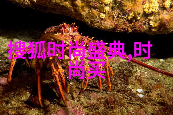 世界第一大陆是亚洲邵兵在不装中遭嘲笑已过气只好凭大叔牌求生