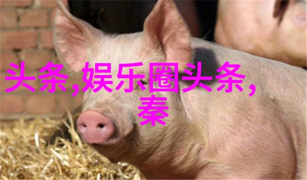 潜行狙击 - 隐秘的枪眼揭开电视剧中的狙击手世界
