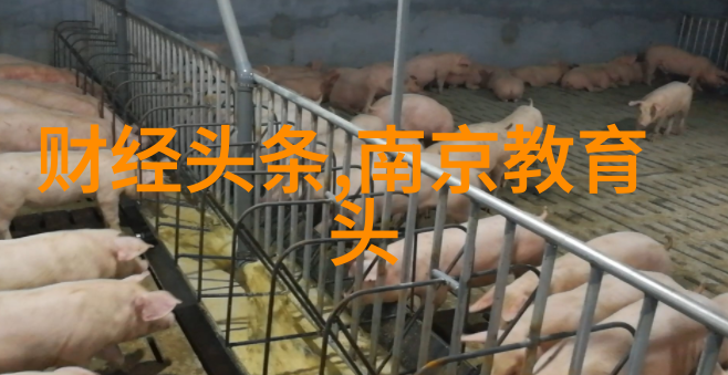刘雯一天三秀热搜引关注时尚界瘦身焦虑背后的社会现象探究
