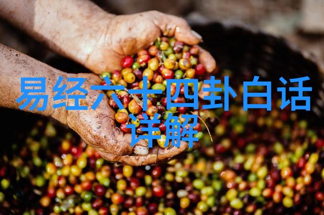 穿越时空的媚影追踪那片无疆的秘密