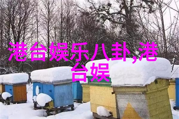 日本文化-探索日本XXXXXLmeDjyf揭秘一个神秘的城市符号