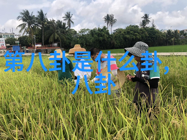 综艺娱乐八卦我亲眼看到了明星的秘密生活