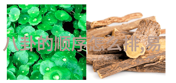 王洋潮涌人生之浪漫探索