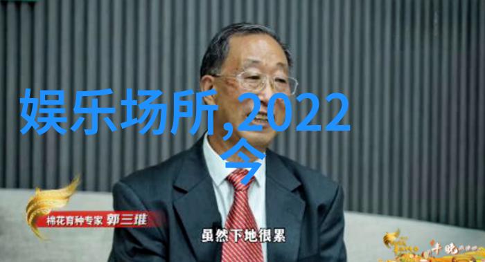 如何评估一个新闻应用程序的速度与质量之间的平衡点今日头条极速版做得如何