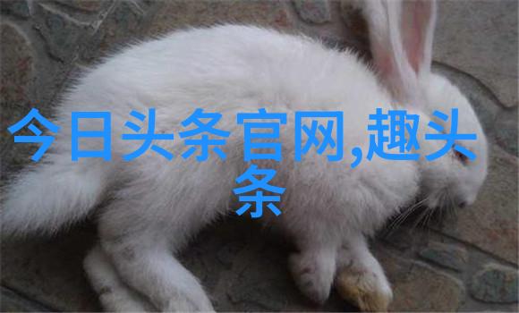 什么是最能展现一个人的独特个性的角度或姿态呢