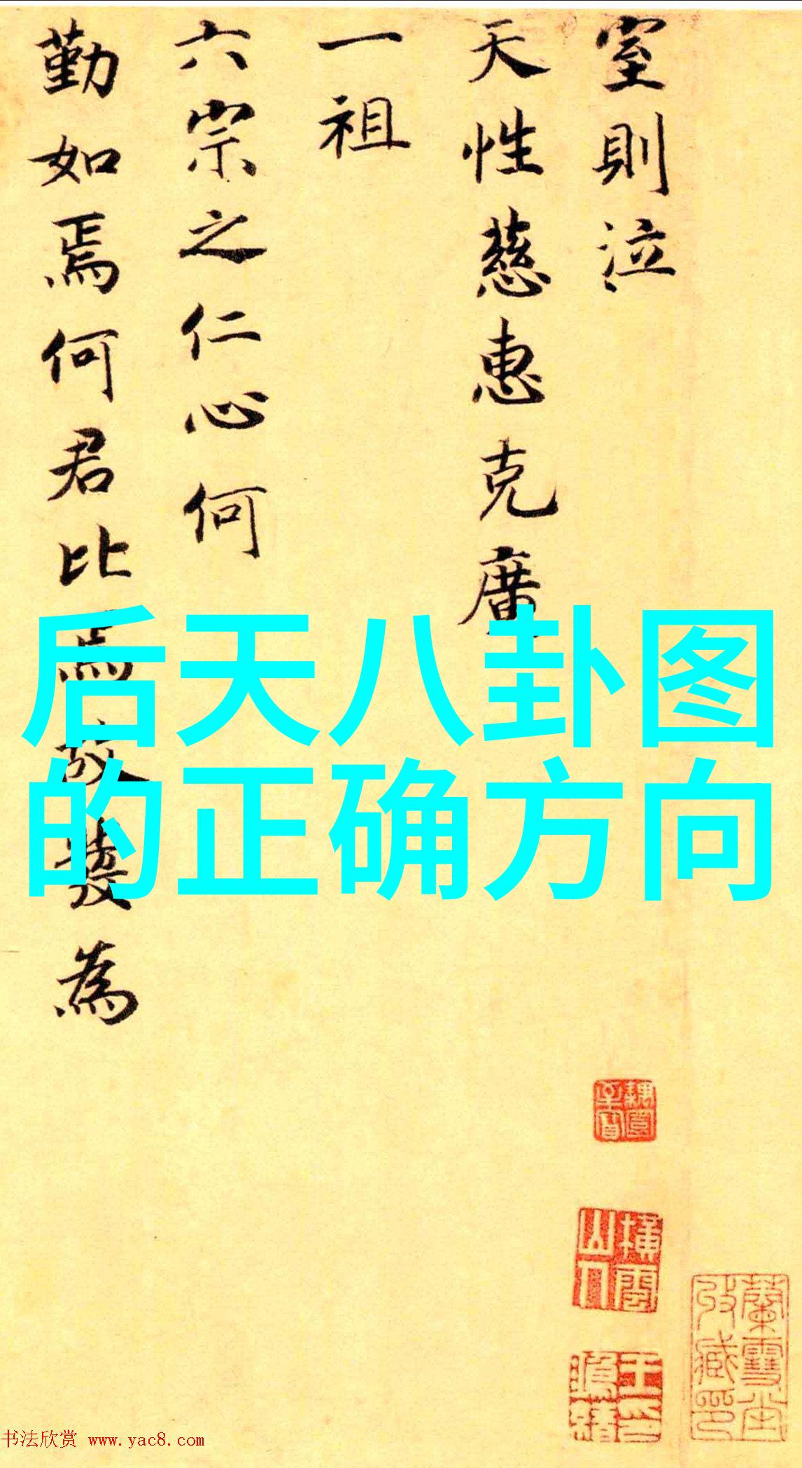网红摩托车手重庆隧道悲剧速度与命运的交汇点
