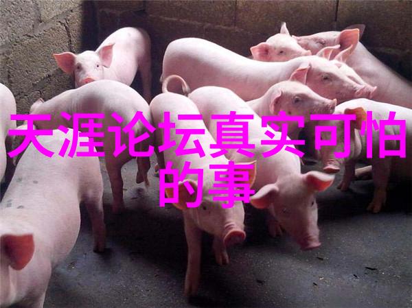 图片查找识别图片我要找到那个让人印象深刻的照片
